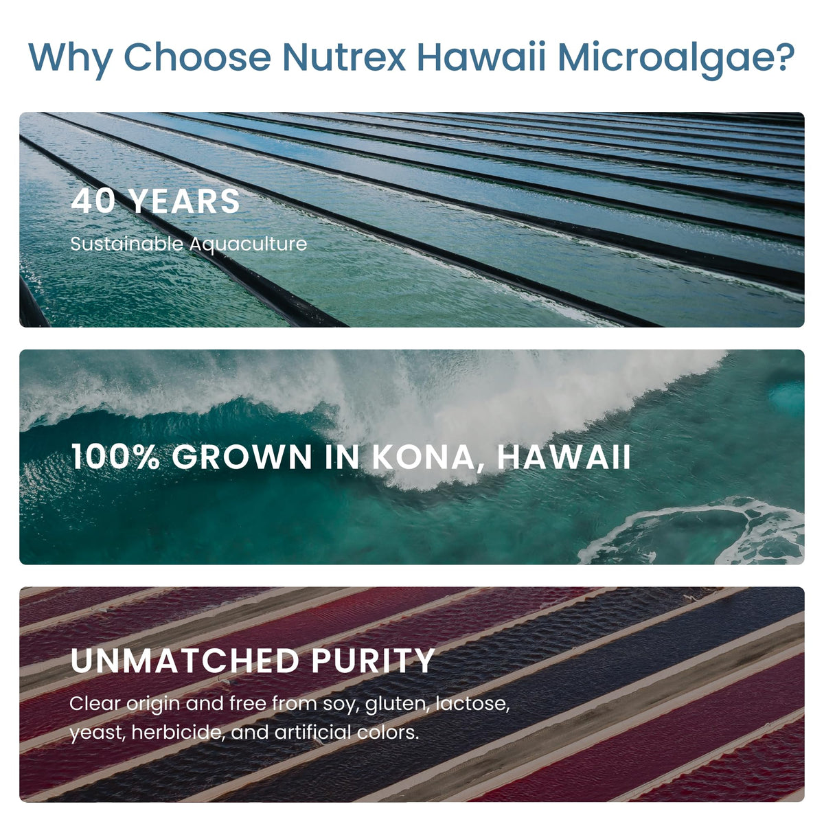 Nutrex Hawaii Pure Hawaiian Spirulina – Vegan Superfood, 500 mg Tablets, Farm Grown in Kona, Non-GMO - PrimeBioHealth - canada supplements