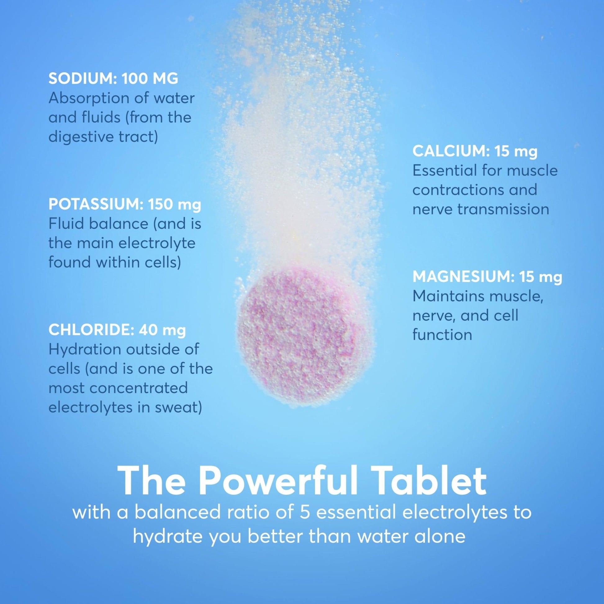 Nuun Immunity Electrolyte Tablets with Vitamin D, C, E, & A, Ginger, Elderberry, Magnesium & 4 Other Essential Electrolytes, Vegan, Blueberry Tangerine & Orange Citrus, 4 Pack (40 Servings Total) - PrimeBioHealth - canada supplements
