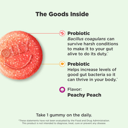 OLLY Probiotic + Prebiotic Gummy, Digestive Support and Gut Health, 500 Million CFUs, Fiber, Adult Chewable Supplement - PrimeBioHealth - canada supplements