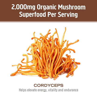 OM MUSHROOM SUPERFOOD Cordyceps Mushroom Capsules Superfood Supplement, 90 Count, 30 Days, Organic Energy Supplement for Stamina and Endurance - PrimeBioHealth - canada supplements