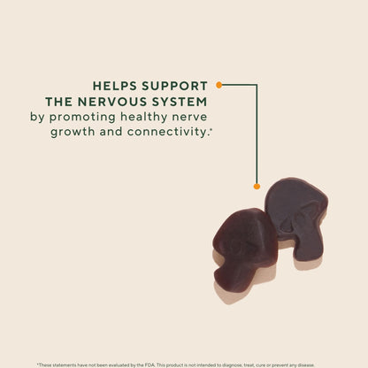 OM MUSHROOM SUPERFOOD Master Blend Mushroom Gummies – Organic 10-Mushroom Complex with Ashwagandha – Supports Immunity, Gut Health & Stress Relief – Mixed Berry Flavor – 28 Servings, 56 Count. - PrimeBioHealth - canada supplements