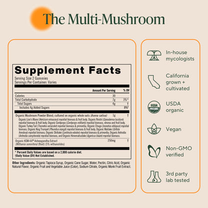 OM MUSHROOM SUPERFOOD Master Blend Mushroom Gummies – Organic 10-Mushroom Complex with Ashwagandha – Supports Immunity, Gut Health & Stress Relief – Mixed Berry Flavor – 28 Servings, 56 Count. - PrimeBioHealth - canada supplements