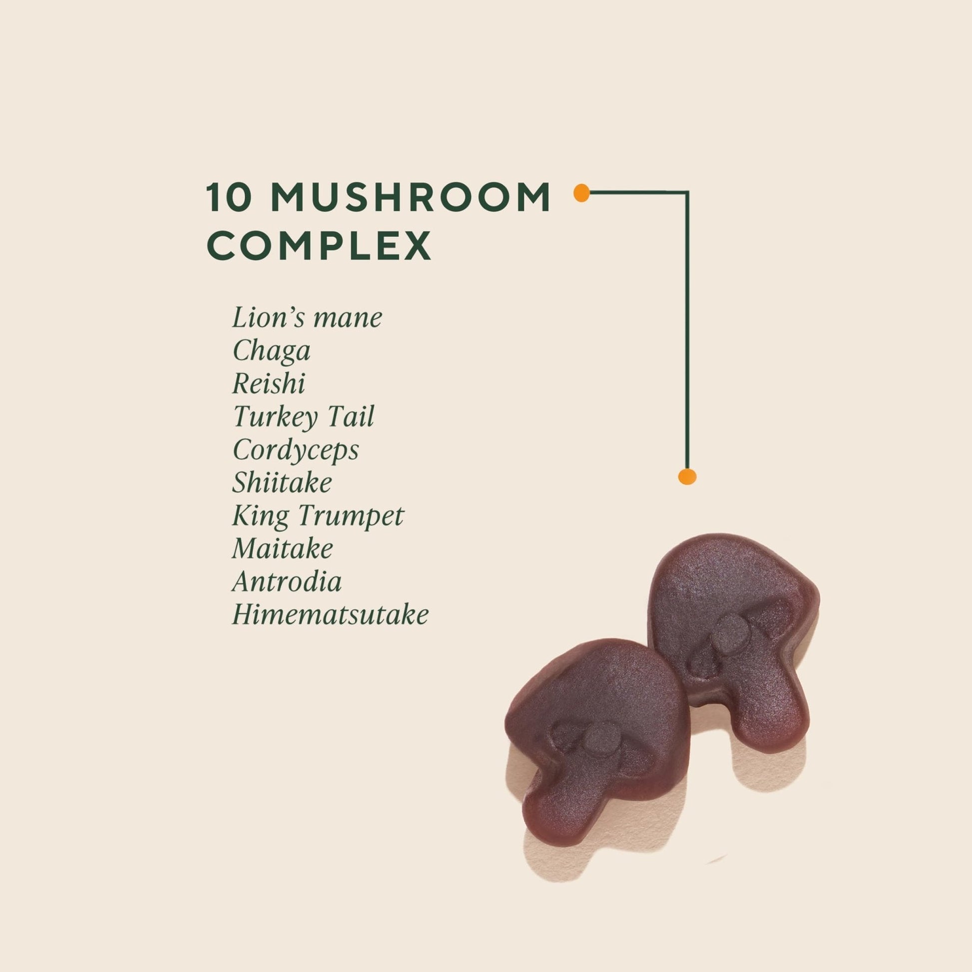 OM MUSHROOM SUPERFOOD Master Blend Mushroom Gummies – Organic 10-Mushroom Complex with Ashwagandha – Supports Immunity, Gut Health & Stress Relief – Mixed Berry Flavor – 28 Servings, 56 Count. - PrimeBioHealth - canada supplements