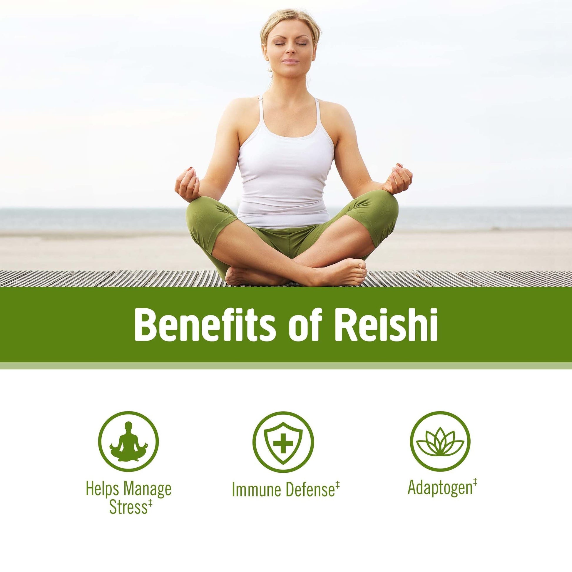 Om Mushroom Superfood Reishi Organic Mushroom Powder, 100 Servings, Organic Adaptogen Powder for Stress Relief and Immune Health - PrimeBioHealth - canada supplements