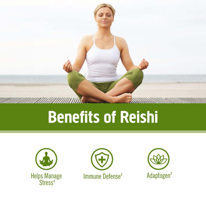Om Mushroom Superfood Reishi Organic Mushroom Powder, 100 Servings, Organic Adaptogen Powder for Stress Relief and Immune Health - PrimeBioHealth - canada supplements