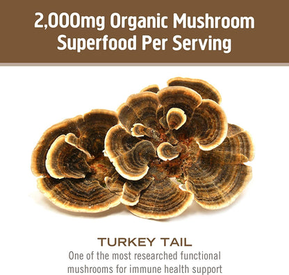 Om Mushroom Superfood Turkey Tail Mushroom Capsules Superfood Supplement, 90 Count, 30 Days, Immune Support, Polysacchrides, Beta-Glucans, Gut Health & Holistic Defense Mushroom Supplement - PrimeBioHealth - canada supplements