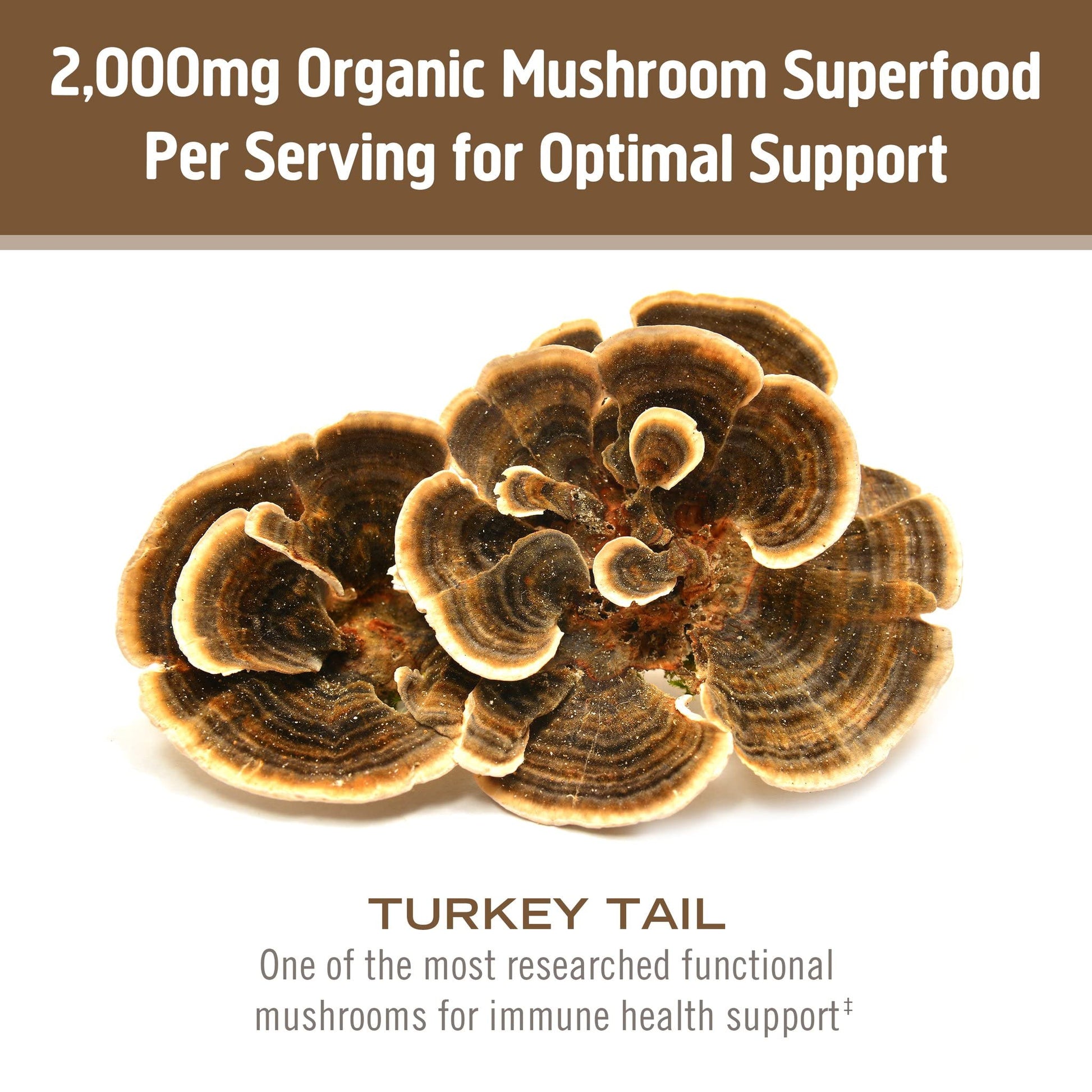 OM MUSHROOM SUPERFOOD Turkey Tail Organic Mushroom Powder Pouch, 7.05 Ounce, 100 Servings, Immune Support, Polysacchrides, Beta-Glucans, Gut Health & Holistic Defense Mushroom Supplement - PrimeBioHealth - canada supplements