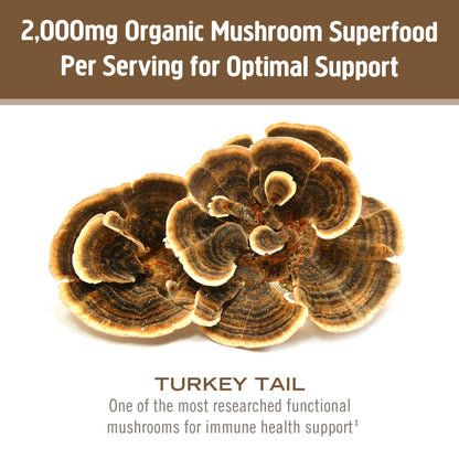 OM MUSHROOM SUPERFOOD Turkey Tail Organic Mushroom Powder Pouch, 7.05 Ounce, 100 Servings, Immune Support, Polysacchrides, Beta-Glucans, Gut Health & Holistic Defense Mushroom Supplement - PrimeBioHealth - canada supplements