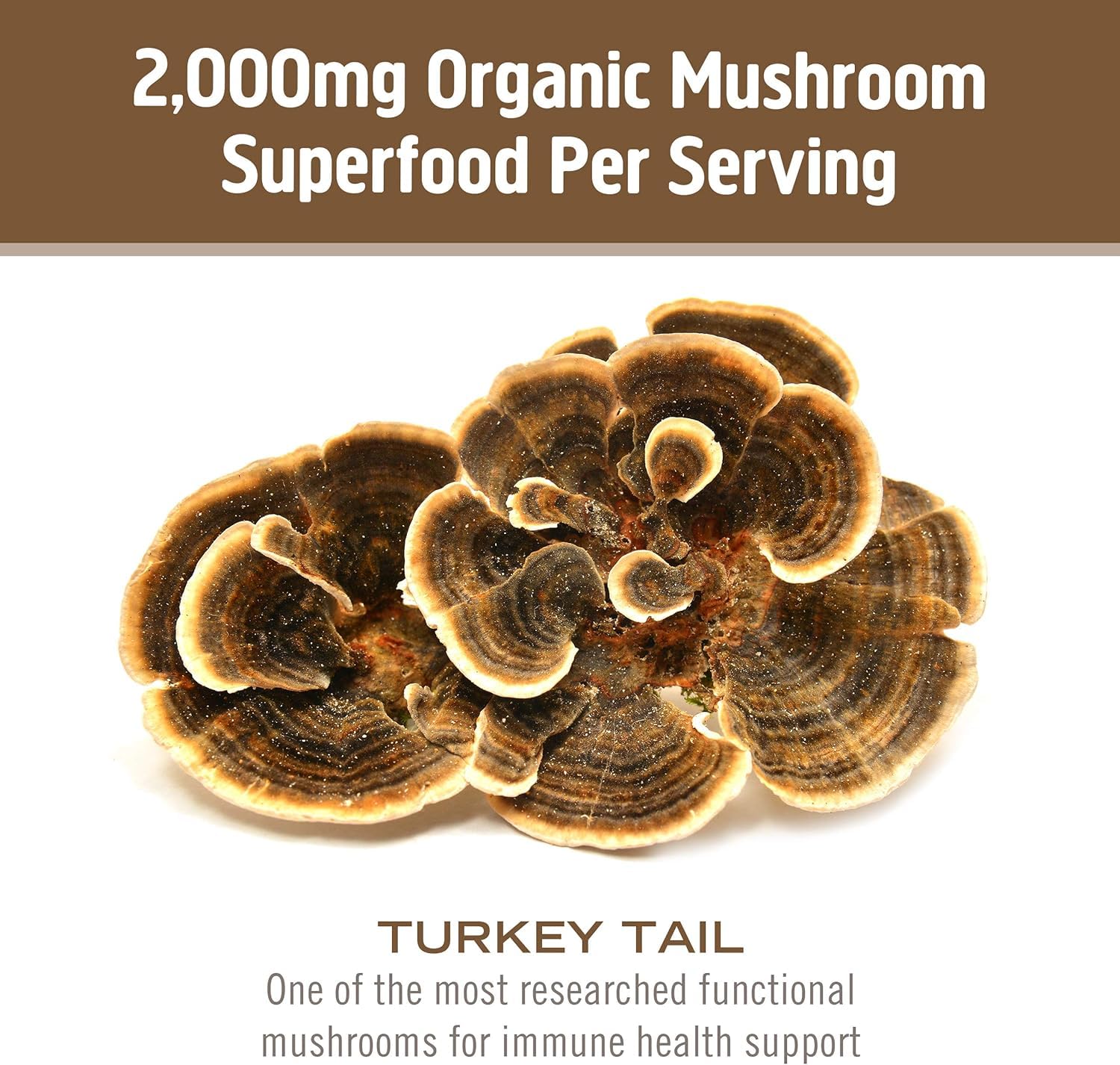 OM MUSHROOM SUPERFOOD Turkey Tail Organic Mushroom Powder Pouch, 7.05 Ounce, 100 Servings, Immune Support, Polysacchrides, Beta-Glucans, Gut Health & Holistic Defense Mushroom Supplement - PrimeBioHealth - canada supplements