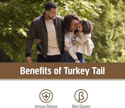 OM MUSHROOM SUPERFOOD Turkey Tail Organic Mushroom Powder Pouch, 7.05 Ounce, 100 Servings, Immune Support, Polysacchrides, Beta-Glucans, Gut Health & Holistic Defense Mushroom Supplement - PrimeBioHealth - canada supplements