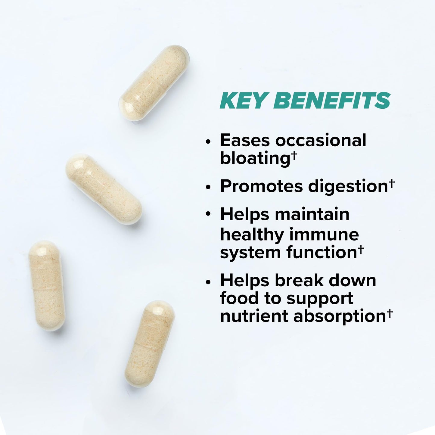 ONNIT Total Gut Health Daily Digestive Support, IGEN Non-GMO Tested Digestion Supplement for Women and Men with 7 Strains of Probiotics, Prebiotics, - PrimeBioHealth - canada supplements