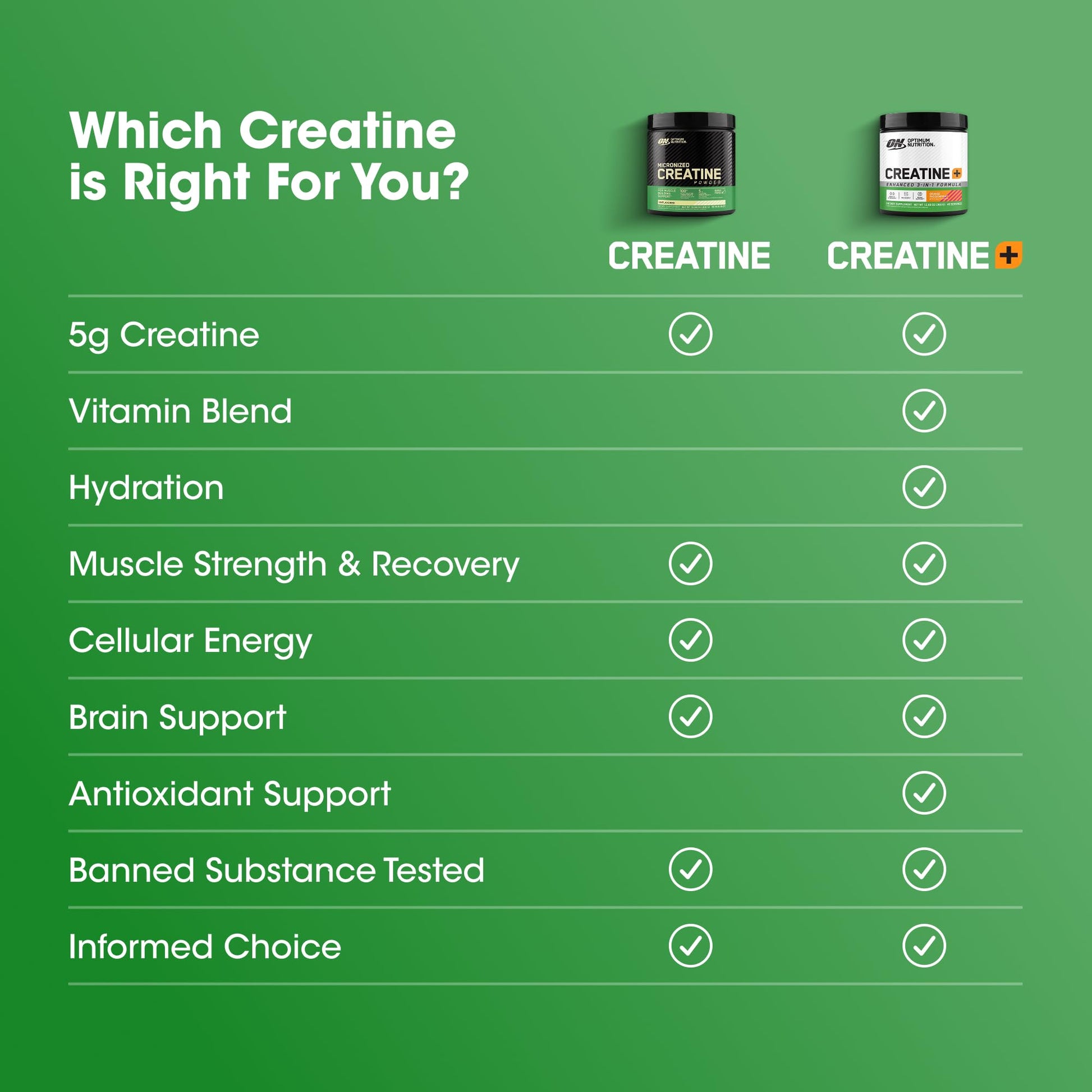 Optimum Nutrition Micronized Creatine Monohydrate Powder, Unflavored, 60 Servings, 300 Grams (Packaging May Vary) - PrimeBioHealth - canada supplements