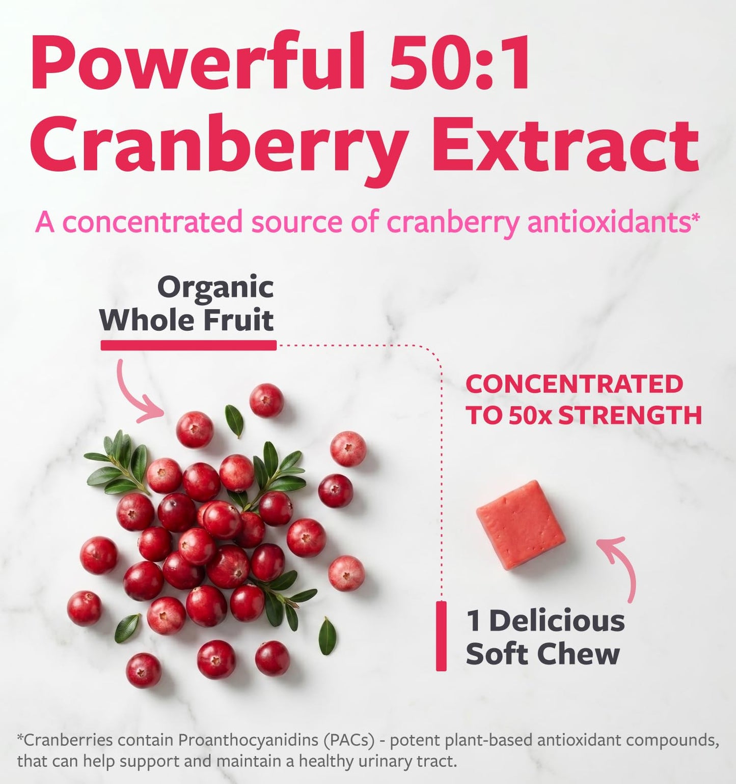 Organic Cranberry Pills - Vegan Supplement for Urinary Tract Health & Kidney Cleanse - Cranberry Pills for Women 500mg 50:1 Cranberry Concentrate Per Serving - Urinary Tract Support - 60 Capsules - PrimeBioHealth - canada supplements