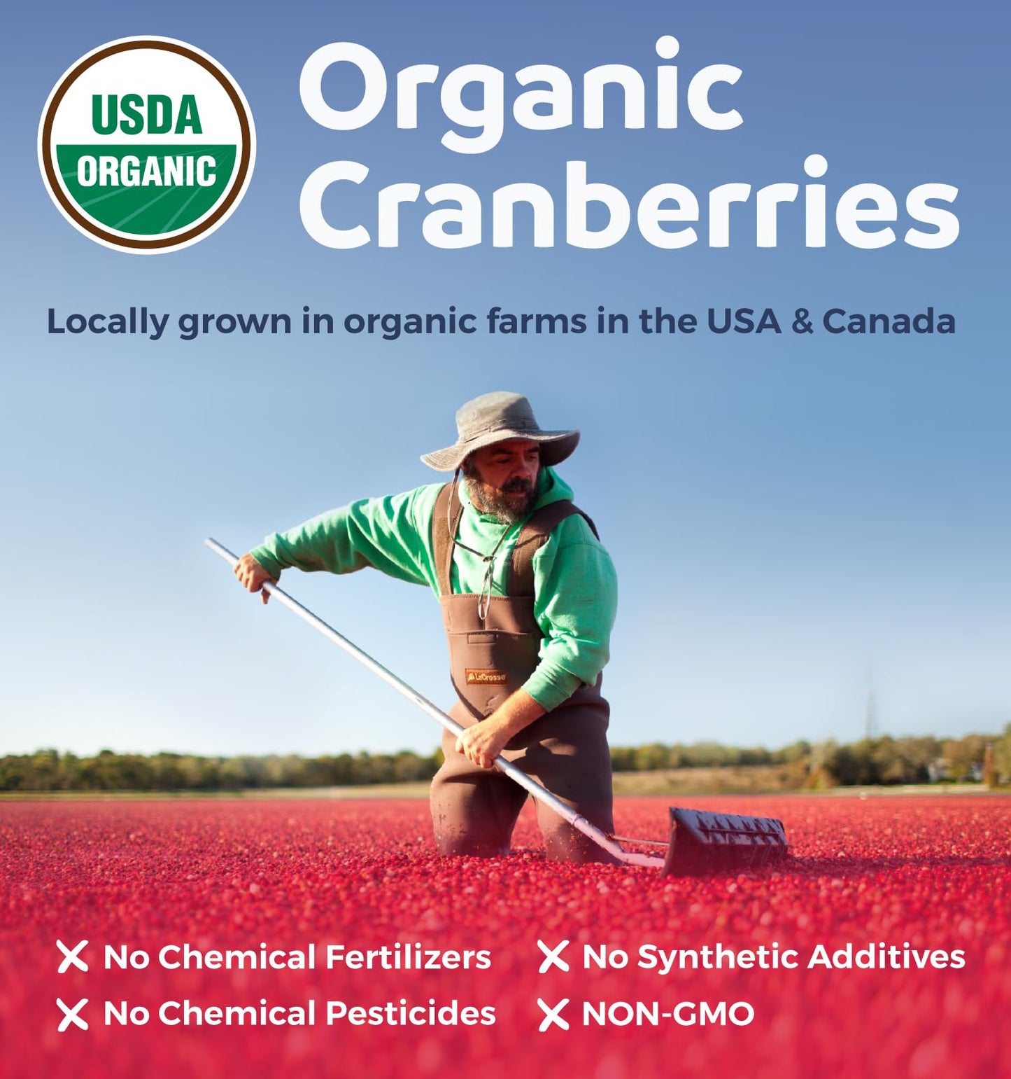 Organic Cranberry Pills - Vegan Supplement for Urinary Tract Health & Kidney Cleanse - Cranberry Pills for Women 500mg 50:1 Cranberry Concentrate Per Serving - Urinary Tract Support - 60 Capsules - PrimeBioHealth - canada supplements