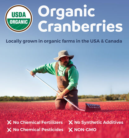 Organic Cranberry Pills - Vegan Supplement for Urinary Tract Health & Kidney Cleanse - Cranberry Pills for Women 500mg 50:1 Cranberry Concentrate Per Serving - Urinary Tract Support - 60 Capsules - PrimeBioHealth - canada supplements