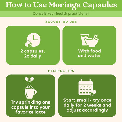 ORGANIC INDIA Moringa Herbal Supplement - Green Superfood, Nutrient Dense, Pure Plant Protein, Vitamin A, E, K, Iron, Calcium, Fiber, Vegan - PrimeBioHealth - canada supplements