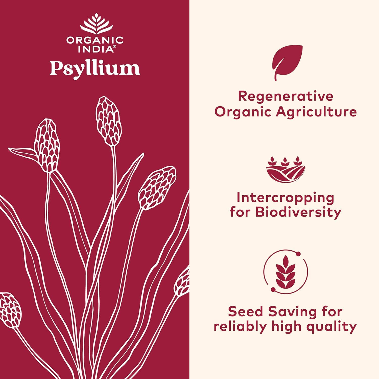 ORGANIC INDIA Psyllium Herbal Powder - Whole Husk Fiber, Vegan, Gluten-Free, USDA Certified Organic, Non-GM - PrimeBioHealth - canada supplements