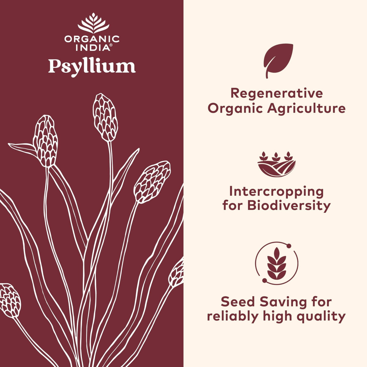 ORGANIC INDIA Psyllium Husk Capsules - Fiber Supplement, Healthy Elimination - Vegan, Keto Friendly, Gluten-Free, USDA Certified Organic, Non-GMO - PrimeBioHealth - canada supplements