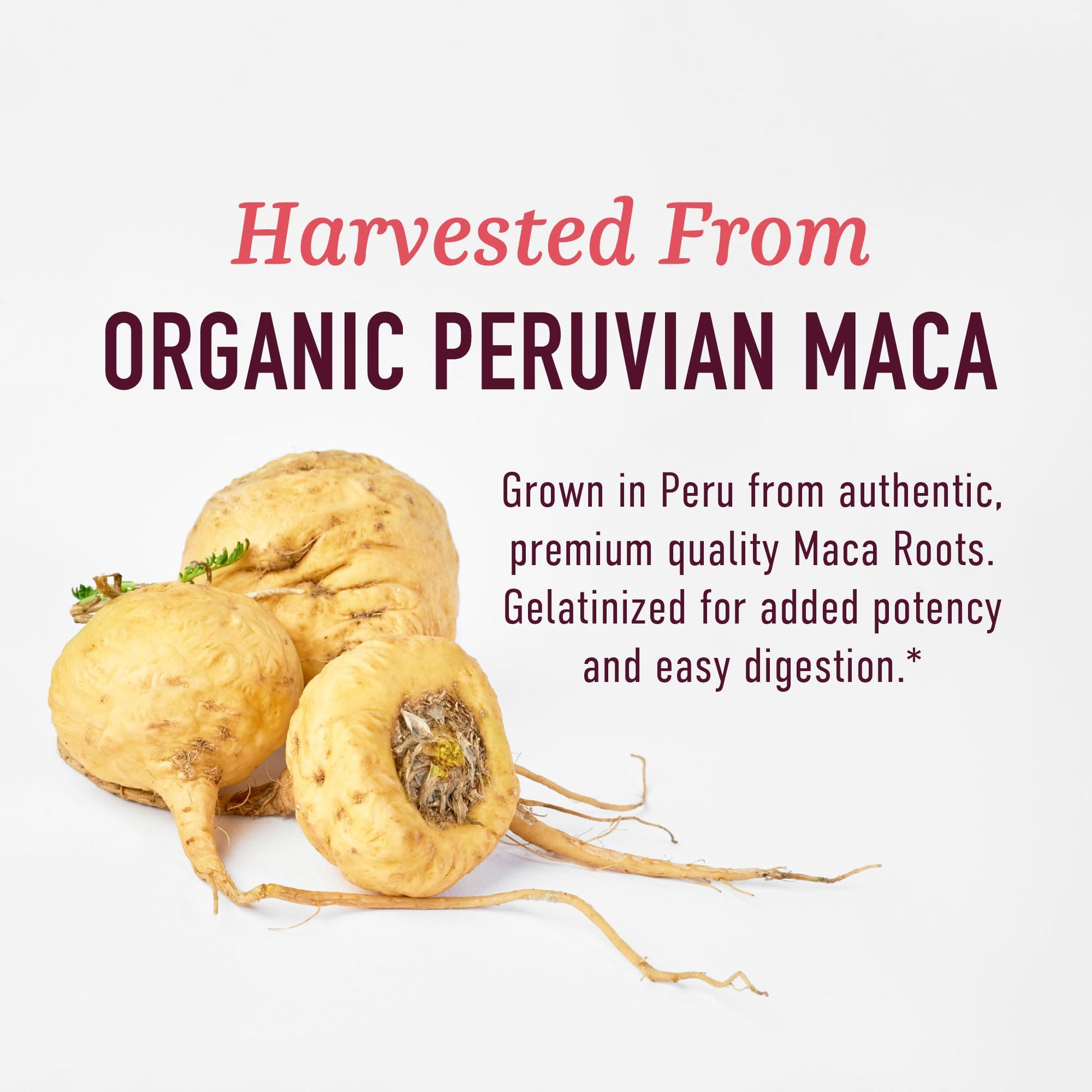 Organic Maca Root Capsules for Women | Peruvian Maca 2250MG Extra Strength | Red, Black & Yellow Root Powder with Black Pepper | Herbal Supplement - PrimeBioHealth - canada supplements