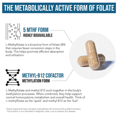 Organic Methyl Folate 1000 mcg + Methyl B12 Cofactor (300 Servings) – Metabolically Active 5-MTHF Form, Organic Berry Flavor, Liquid Sublingual Form – Mood, Cognition, Methylation, Pregnancy (1oz) - PrimeBioHealth - canada supplements