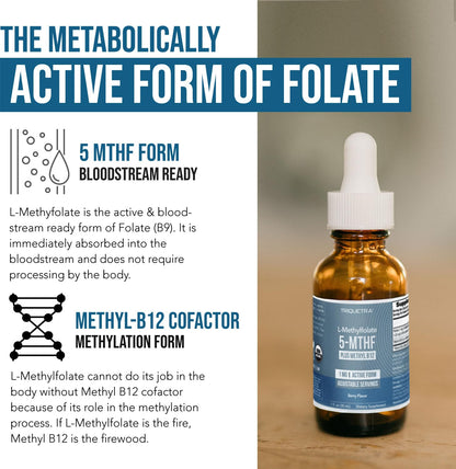 Organic Methyl Folate 1000 mcg + Methyl B12 Cofactor (300 Servings) – Metabolically Active 5-MTHF Form, Organic Berry Flavor, Liquid Sublingual Form – Mood, Cognition, Methylation, Pregnancy (1oz) - PrimeBioHealth - canada supplements