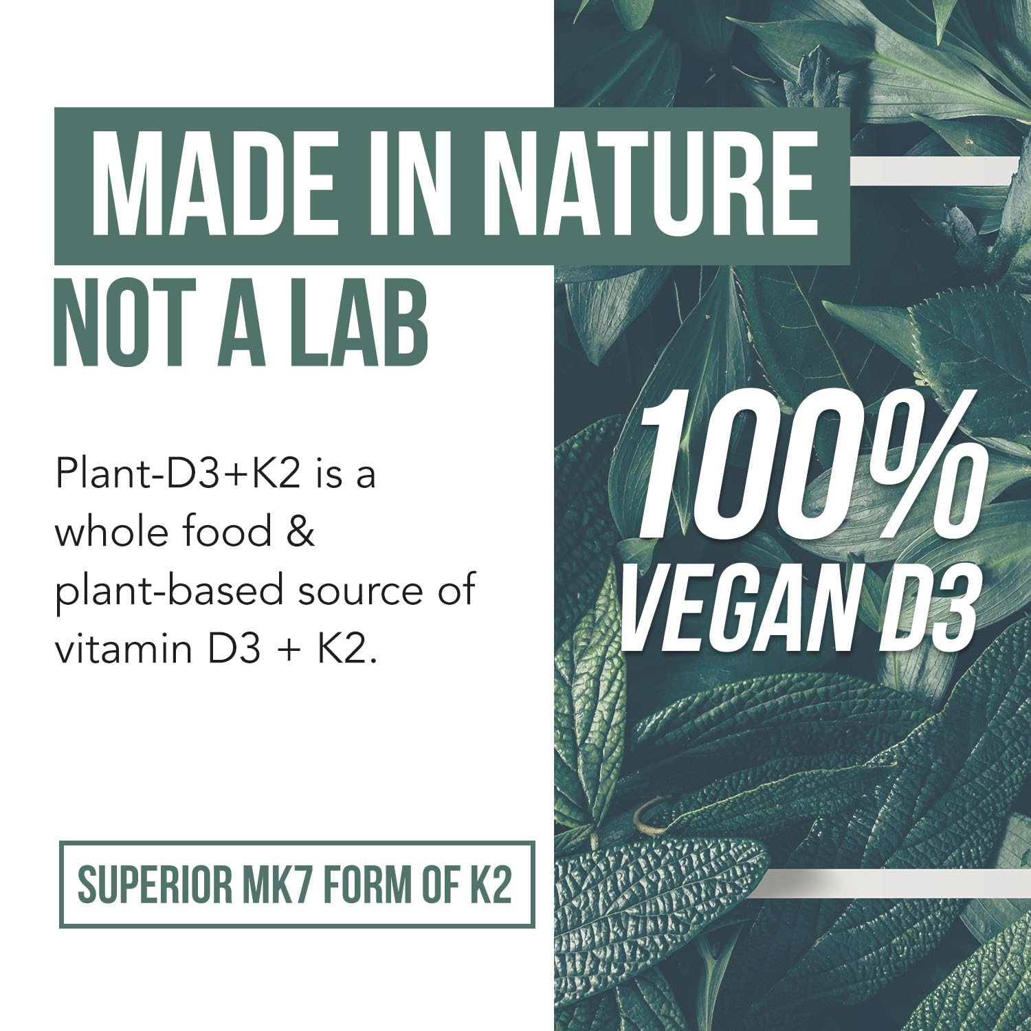 Organic Plant D3 + K2 | 5000 iu D3 + 120 mcg K2 as All-Trans MK7 from MenaQ7® - 100% Whole Food, Raw & Vegan | Enhanced Digestion with Prebiotic & Superfood Complex – D3 from Organic Algae (60 Count) - PrimeBioHealth - canada supplements