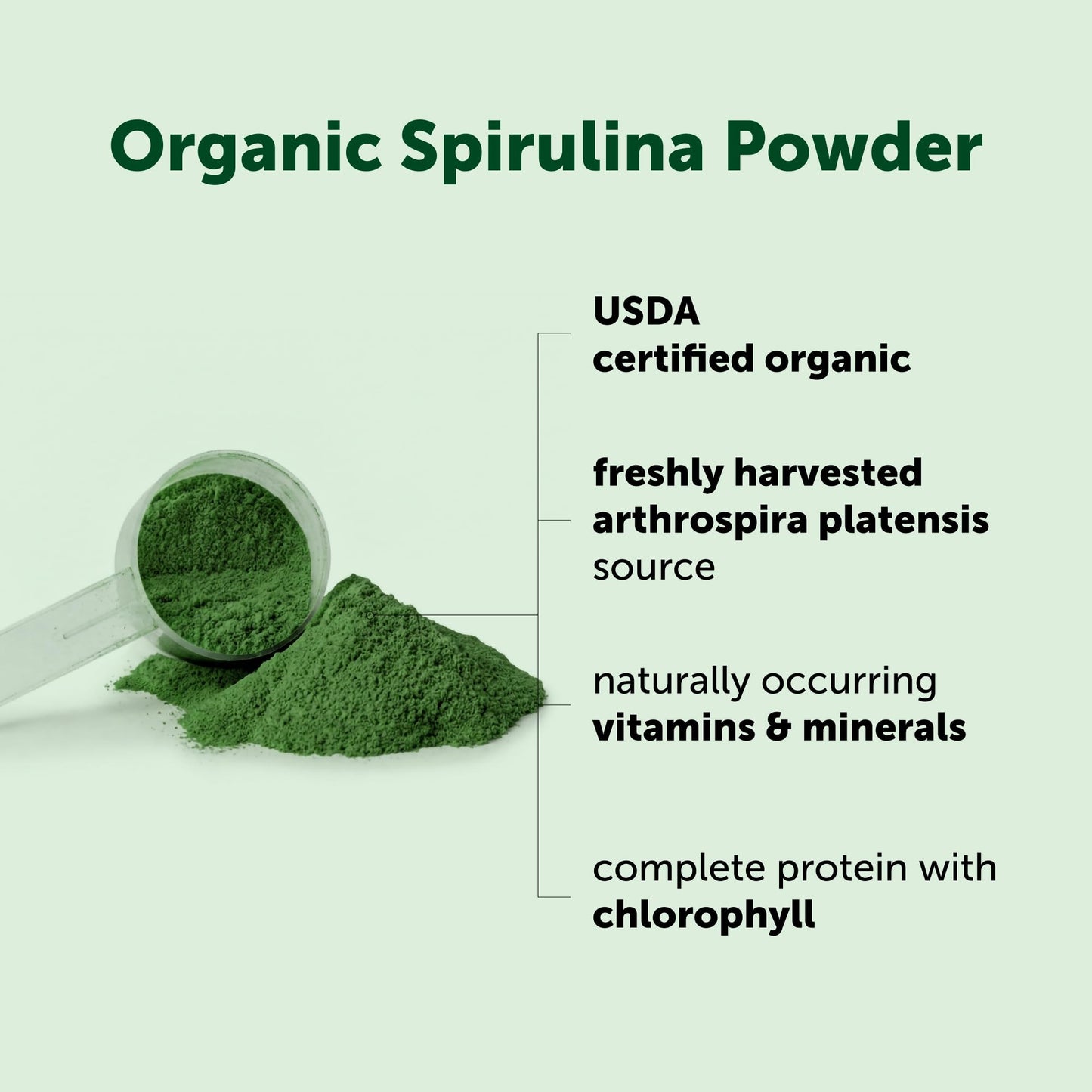 Organic Spirulina Powder, 1lb | Blue-Green Algae, Naturally Occurring Vegan Protein, Vitamins & Minerals | Source of Natural Chlorophyll & Enzymes | Non-GMO, Gluten-Free, No Additives - PrimeBioHealth - canada supplements
