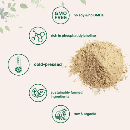 Organic Sunflower Lecithin Powder, 1 Pound, Sustainable Farmed, Cold Pressed, Rich in Phosphatidyl Choline and Protein, Making Liposomal Vitamin C, Lactation Supplement, Non-GMO - PrimeBioHealth - canada supplements
