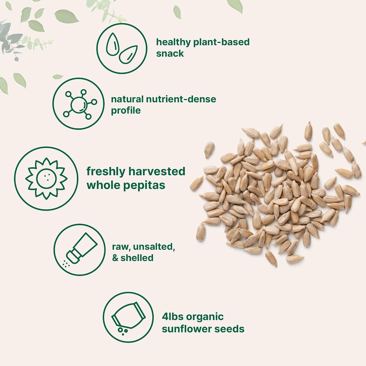Organic Sunflower Seeds, 4lbs | Raw, Unsalted, & Shelled – Whole Kernels | Low Carb Snack | Great for Baking, Smoothies, & Salad Toppings | Non-GMO, Vegan, Plant Based - PrimeBioHealth - canada supplements