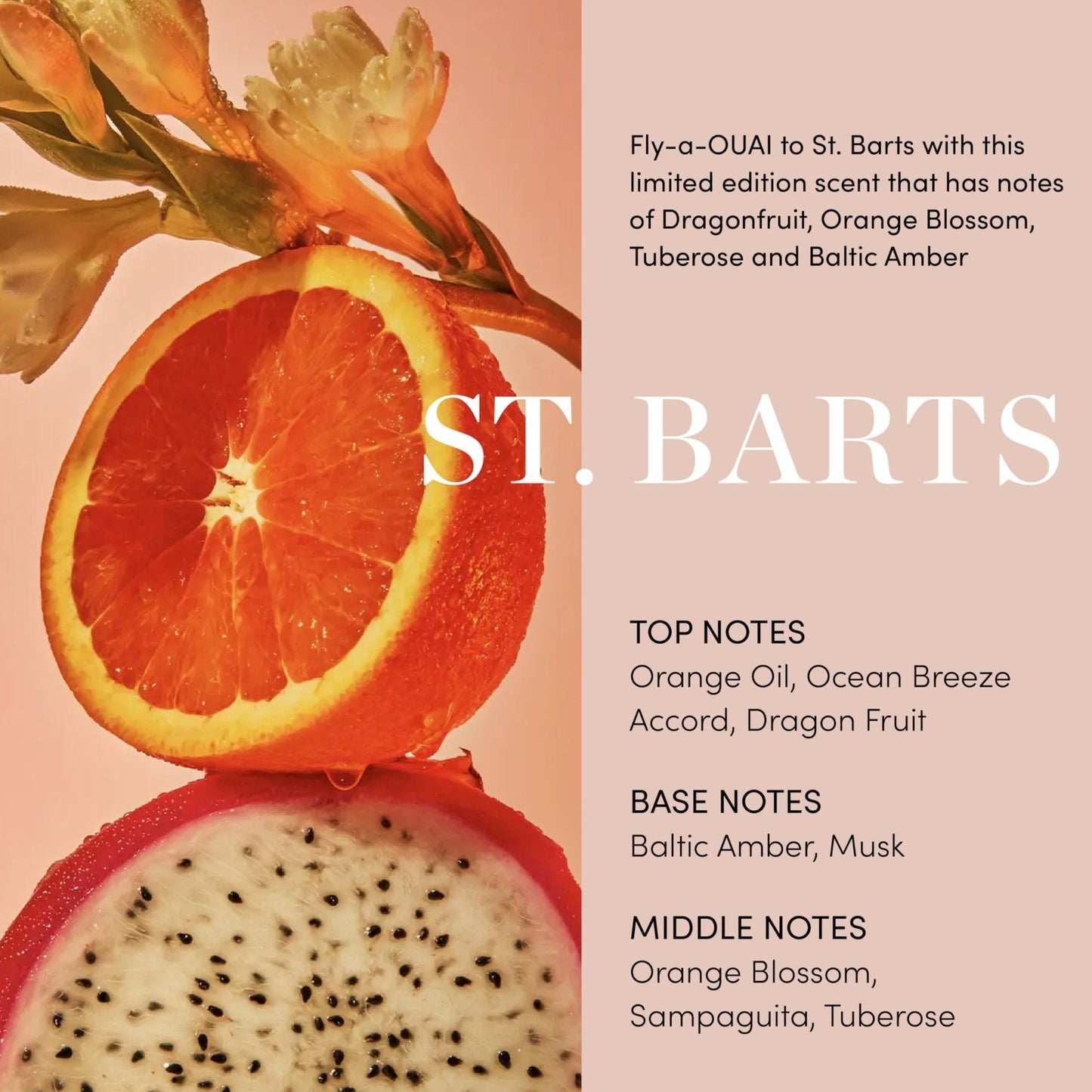 OUAI Body Cleanser, St. Barts - Foaming Body Wash with Jojoba Oil and Rosehip Oil to Hydrate, Nurture, Balance and Soften Skin - Paraben - PrimeBioHealth - canada supplements