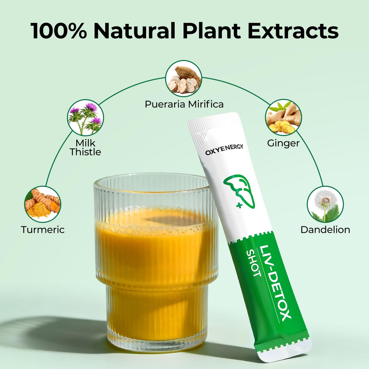 OxyEnergy Liver Cleanse Detox & Repair, Organic Milk Thistle Liver Detox Supplement with Turmeric, Giner, Dandelion, Support Liver Health & Digestion, - PrimeBioHealth - canada supplements