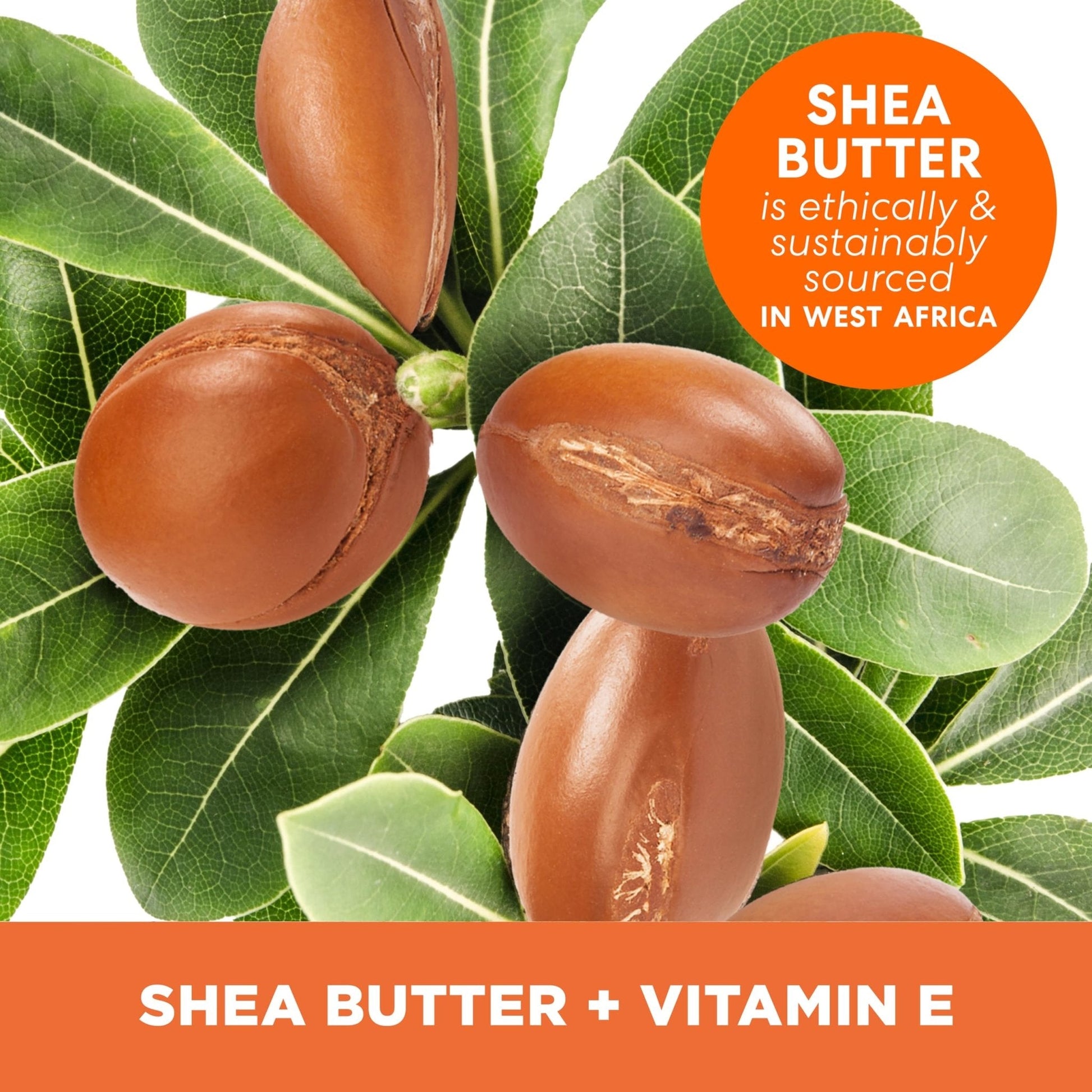 Palmer's Shea Butter Formula Raw African Shea Butter Balm, Nourishing Body Moisturizer - PrimeBioHealth - canada supplements