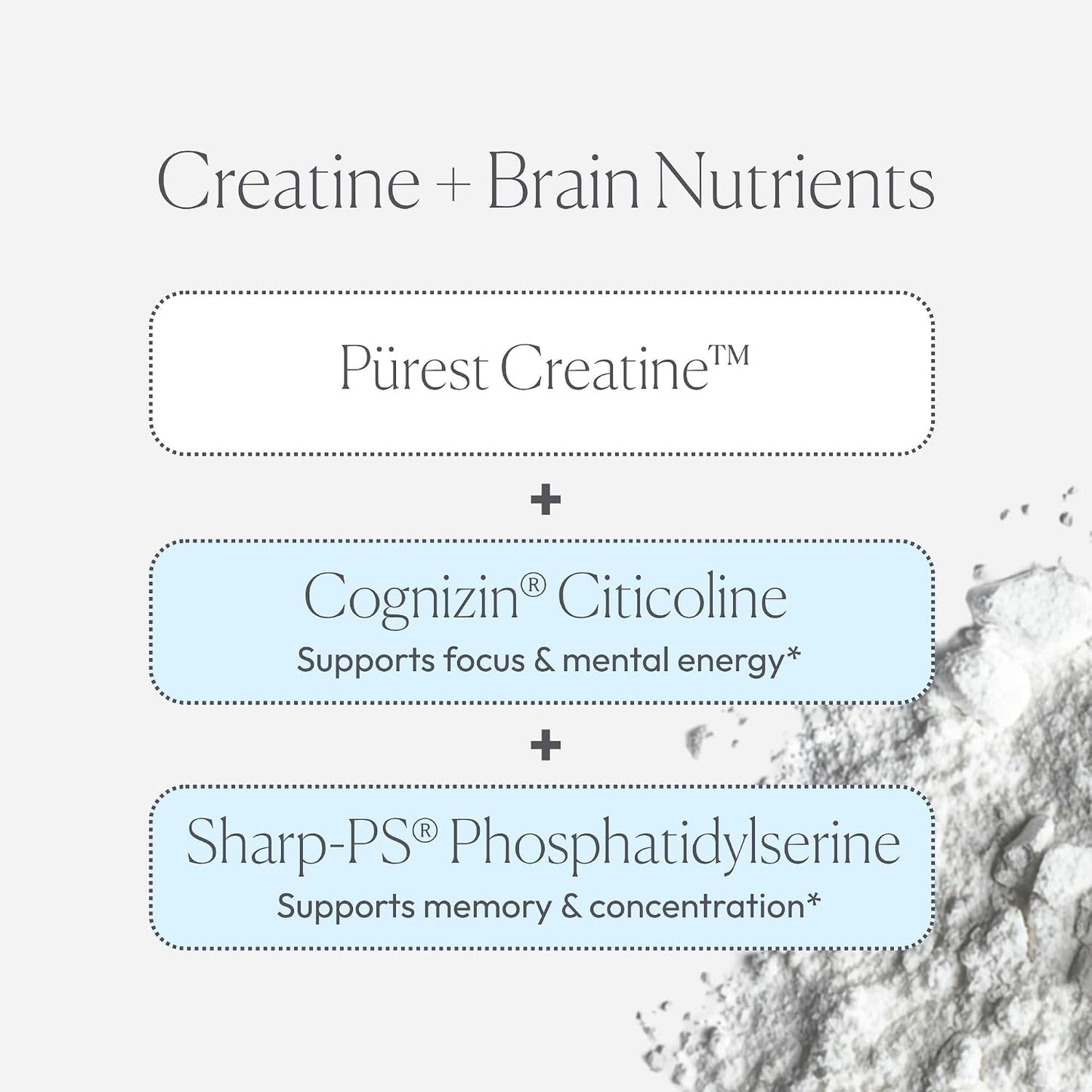 Papillex Creatine Well – Clean Creatine Powder for Brain Energy & Muscle Tone with Cognizin & Sharp•PS - PrimeBioHealth - canada supplements
