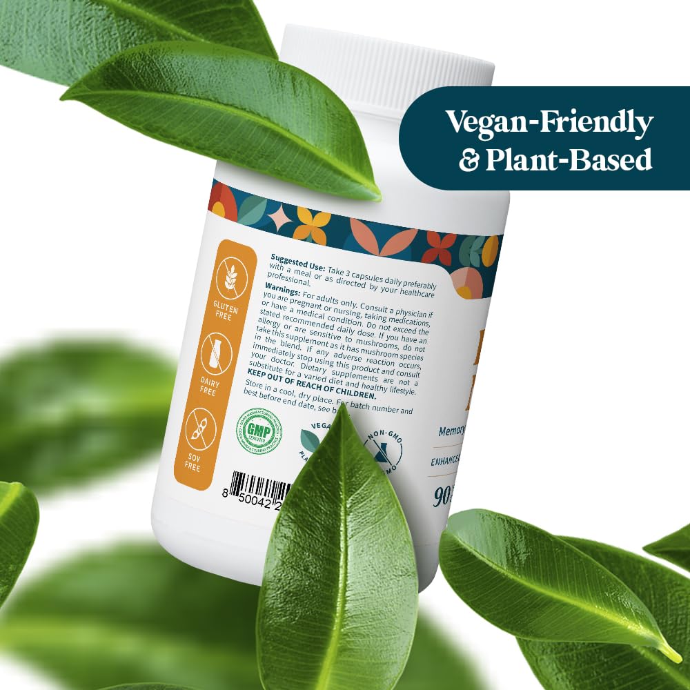 Pattern Wellness Lion’s Mane Mushroom Supplement – 90 Vegan Capsules | Supplement Capsules for Cognitive & Focus Support – Enhanced Absorption - PrimeBioHealth - canada supplements