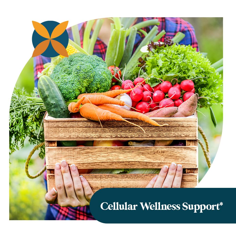 Pattern Wellness Odorless Organic Garlic Extract 20:1 with Allicin – Supports Circulatory & Immune Health – Non-GMO, Gluten Free, Vegan - 30 Capsules | 20:1 Garlic Extract with Allicin – Supports Circulatory & Immune Health – Non-GMO, Gluten Free & Vegan - PrimeBioHealth - canada supplements