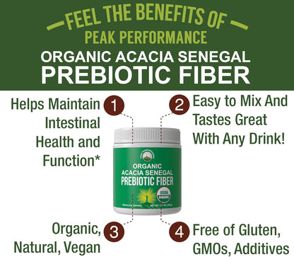 Peak Performance Organic Acacia Senegal Prebiotic Fiber Powder - Unflavored USDA Plant Based Soluble Vegan Prebiotics Gut Health Supplement with Digestive Enzymes 5 oz - PrimeBioHealth - canada supplements