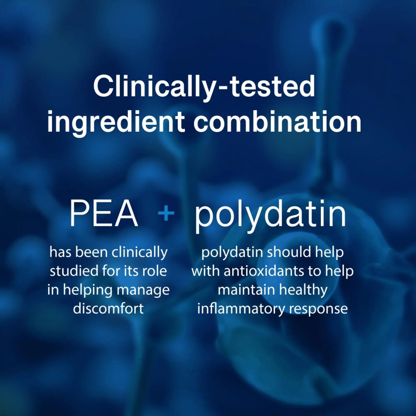 PEAlief Pea + Polydatin – New Bladder & Urinary Comfort Support with Clinically Tested Ingredient Combination — One Pill Per Day, 60 Day Supply - PrimeBioHealth - canada supplements