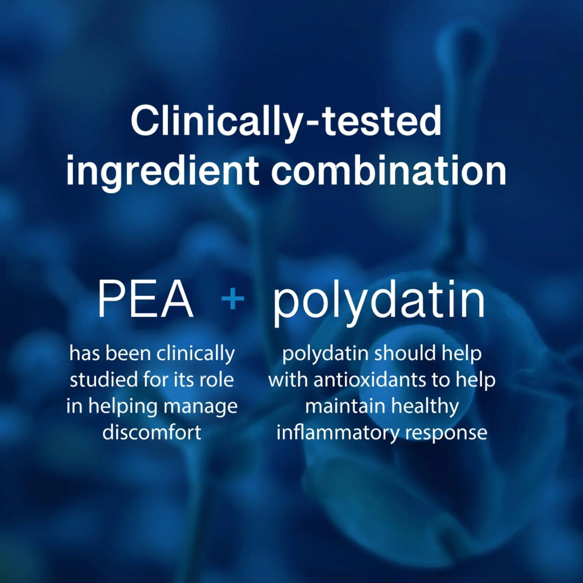 PEAlief Pea + Polydatin – New Bladder & Urinary Comfort Support with Clinically Tested Ingredient Combination — One Pill Per Day, 60 Day Supply - PrimeBioHealth - canada supplements
