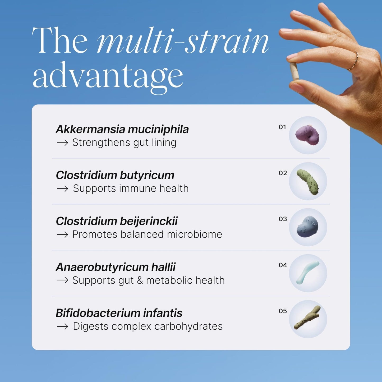 Pendulum Metabolic Daily - Multi-Strain Probiotic with Akkermansia muciniphila to Support Metabolism and Sustain Energy Levels - PrimeBioHealth - canada supplements