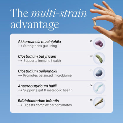 Pendulum Metabolic Daily - Multi-Strain Probiotic with Akkermansia muciniphila to Support Metabolism and Sustain Energy Levels - PrimeBioHealth - canada supplements