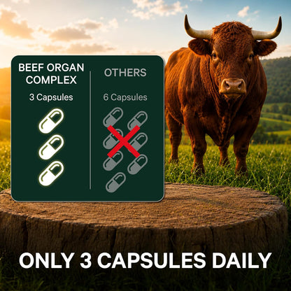 Pink Stork Men's Beef Organ Complex, Bioavailable Superfoods, 30 Servings | Grass-Fed, Grass-Finished Beef Liver, Testicle, Prostate + Bone Marrow | Supports Energy, Vitality + Men's Health - PrimeBioHealth - canada supplements