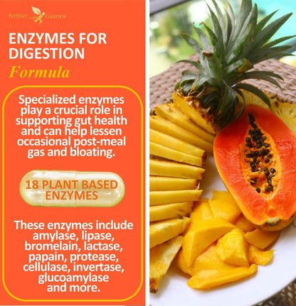 Potent Garden Digestive Enzymes -18 Plant Based Enzymes with amylase lipase bromelain Protease lactase & Other Enzymes - One Pre Meal Pill Supports Healthy - PrimeBioHealth - canada supplements
