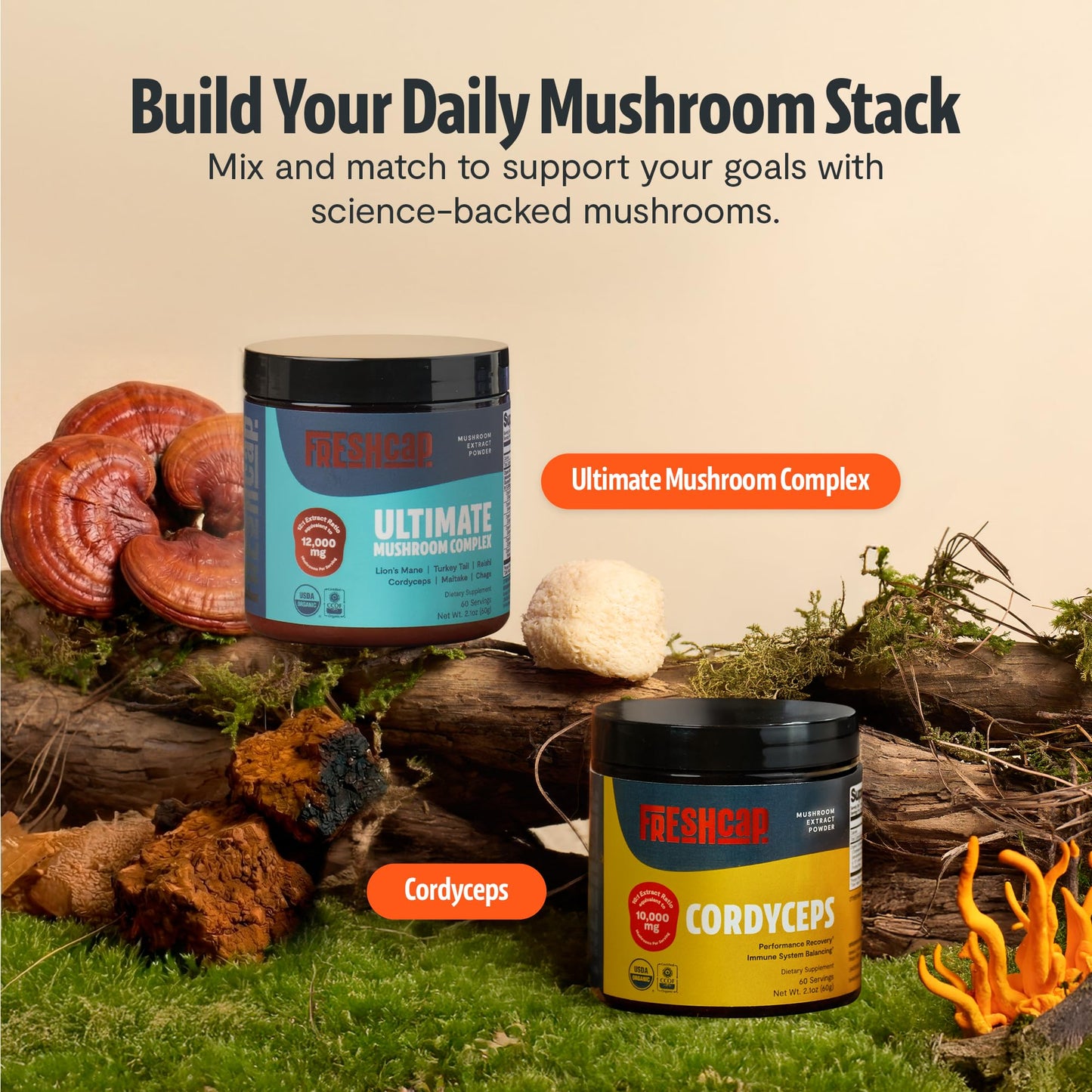 Premium Organic Mushroom Coffee – 12:1 Fruiting Body Extract – 29% Beta-Glucans – Smooth Tasting, 3rd-Party Tested for Clean Energy, No Jitters, Focus, Immune Support (15 Servings) - PrimeBioHealth - canada supplements