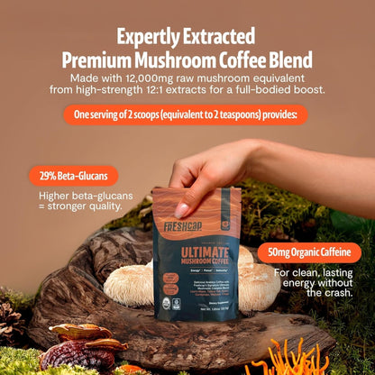 Premium Organic Mushroom Coffee – 12:1 Fruiting Body Extract – 29% Beta-Glucans – Smooth Tasting, 3rd-Party Tested for Clean Energy, No Jitters, Focus, Immune Support (15 Servings) - PrimeBioHealth - canada supplements
