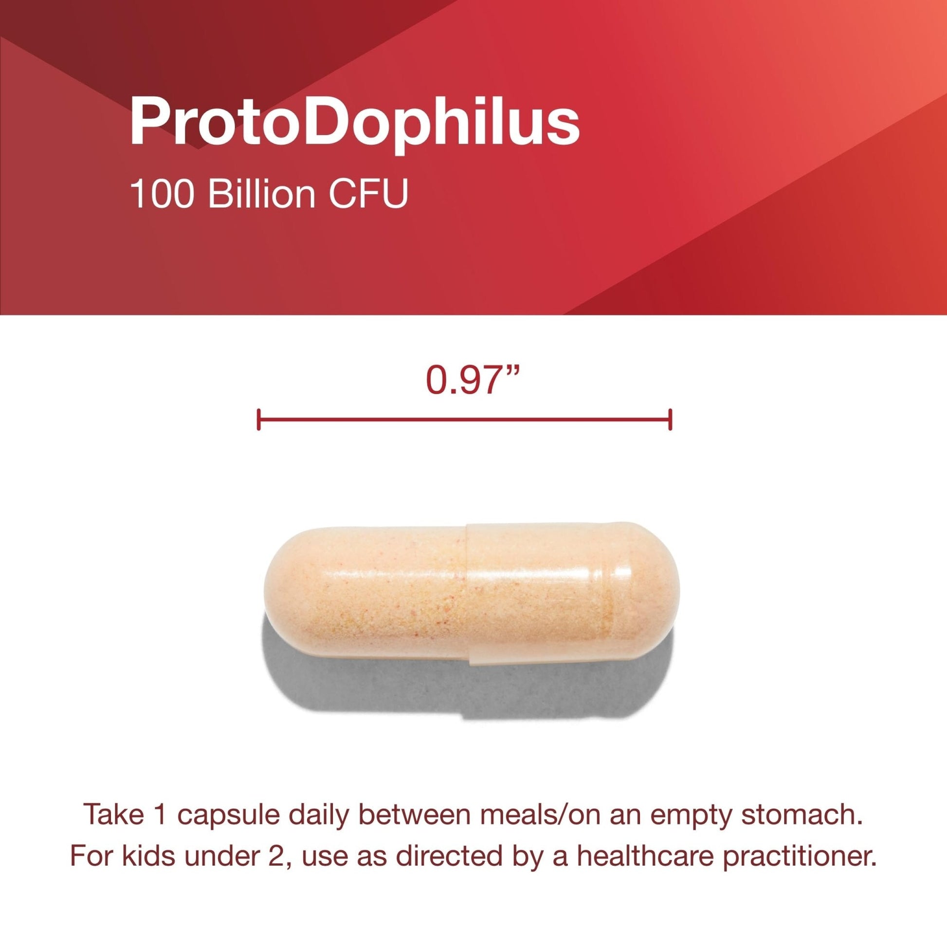 PROTOCOL FOR LIFE BALANCE Proto Dophilus 100 Billion 10 Strains - Support Digestive Gut Health Immune System & Detox - Dairy, Wheat, Soy & Gluten Free - Vegan & Nut Free - 30 Veg Capsules - PrimeBioHealth - canada supplements