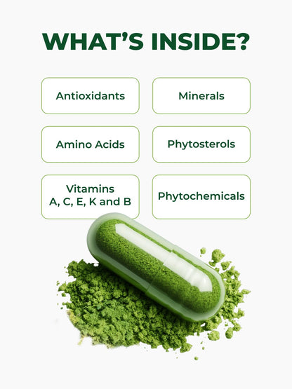 PURA VIDA MORINGA Organic Moringa Capsules, Pure Moringa Leaf Powder Single Origin for Energy, Metabolism & Immune Support - PrimeBioHealth - canada supplements