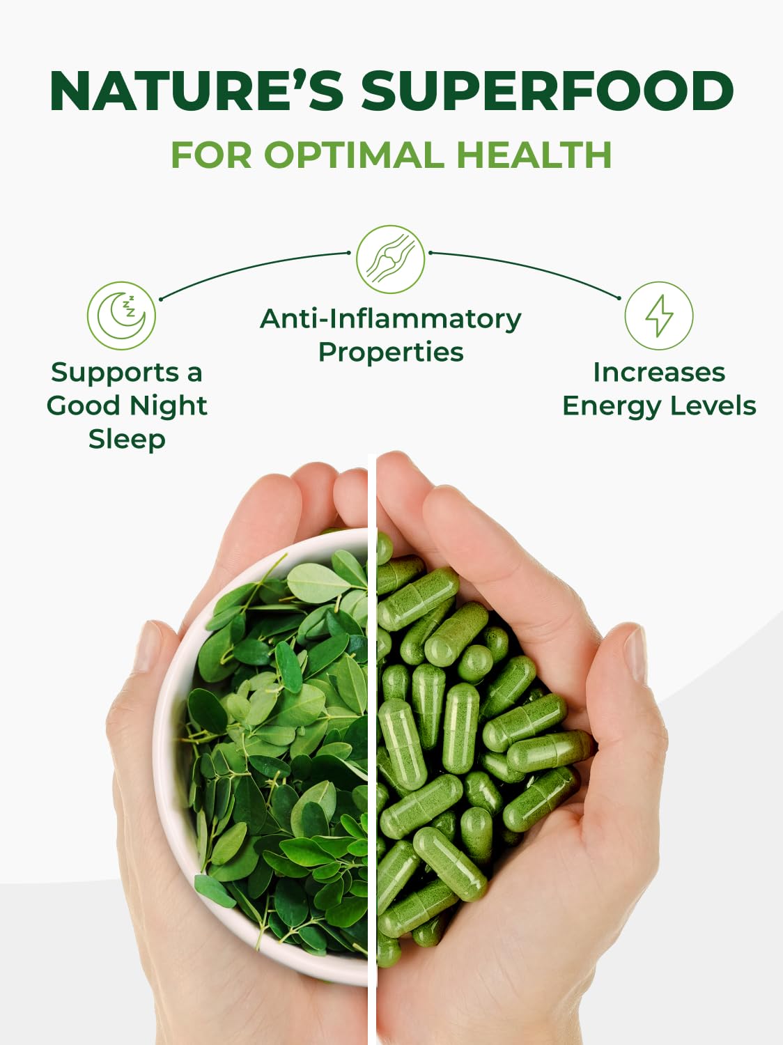 PURA VIDA MORINGA Organic Moringa Capsules, Pure Moringa Leaf Powder Single Origin for Energy, Metabolism & Immune Support - PrimeBioHealth - canada supplements