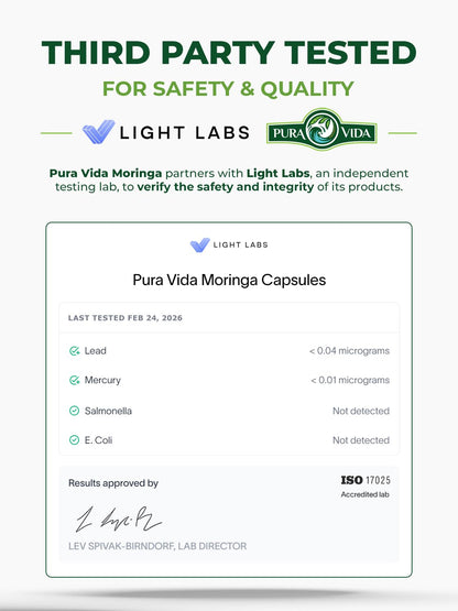 PURA VIDA MORINGA Organic Moringa Powder, Premium 100% Leaf Powder Single Origin - USDA Organic Moringa Oleifera Leaf - PrimeBioHealth - canada supplements