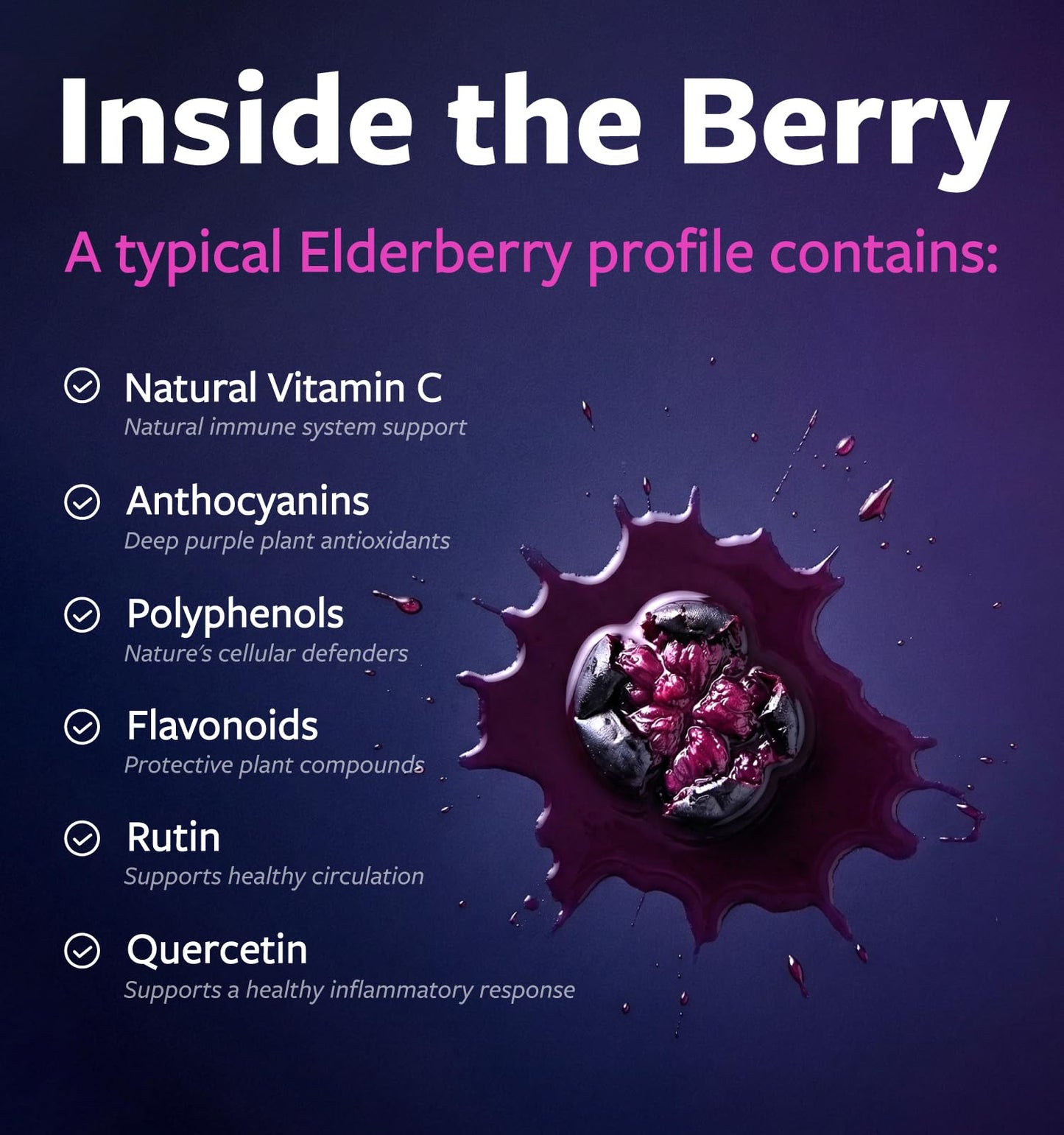 PURE CO Organic Elderberry 10:1 Extract 500mg Per 1 Capsule Serving - Vegan Black Elderberry Supplement for Immune Support, Allergy, Sinus Relief - Sambucus Nigra - 30 Caps - PrimeBioHealth - canada supplements