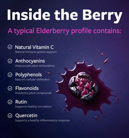 PURE CO Organic Elderberry 10:1 Extract 500mg Per 1 Capsule Serving - Vegan Black Elderberry Supplement for Immune Support, Allergy, Sinus Relief - Sambucus Nigra - 30 Caps - PrimeBioHealth - canada supplements